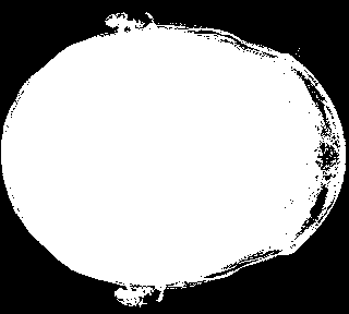 mip_otsu.png
