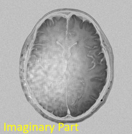 fig310-img_imag.jpg