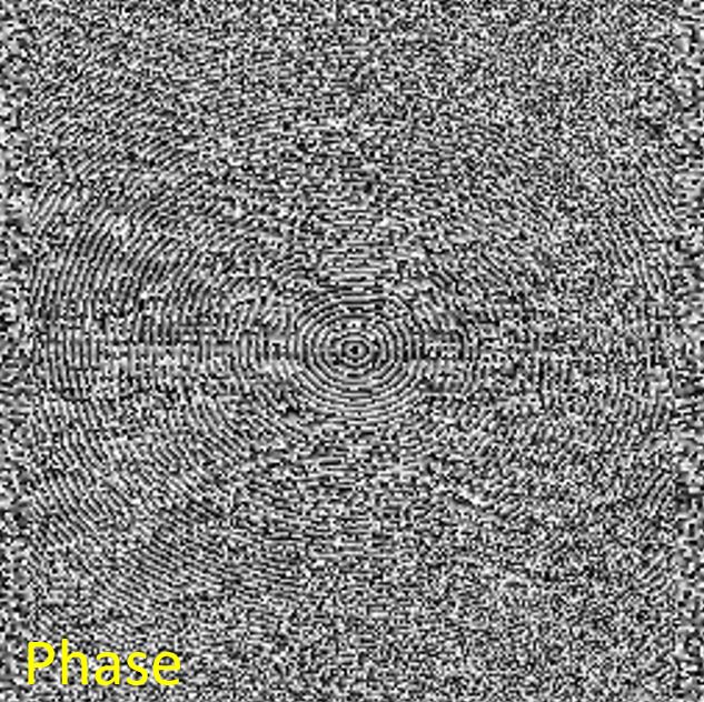 fig311-kspace_reprod_phase.jpg