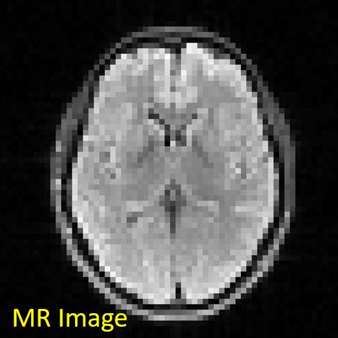 fig4-img_crop.jpg